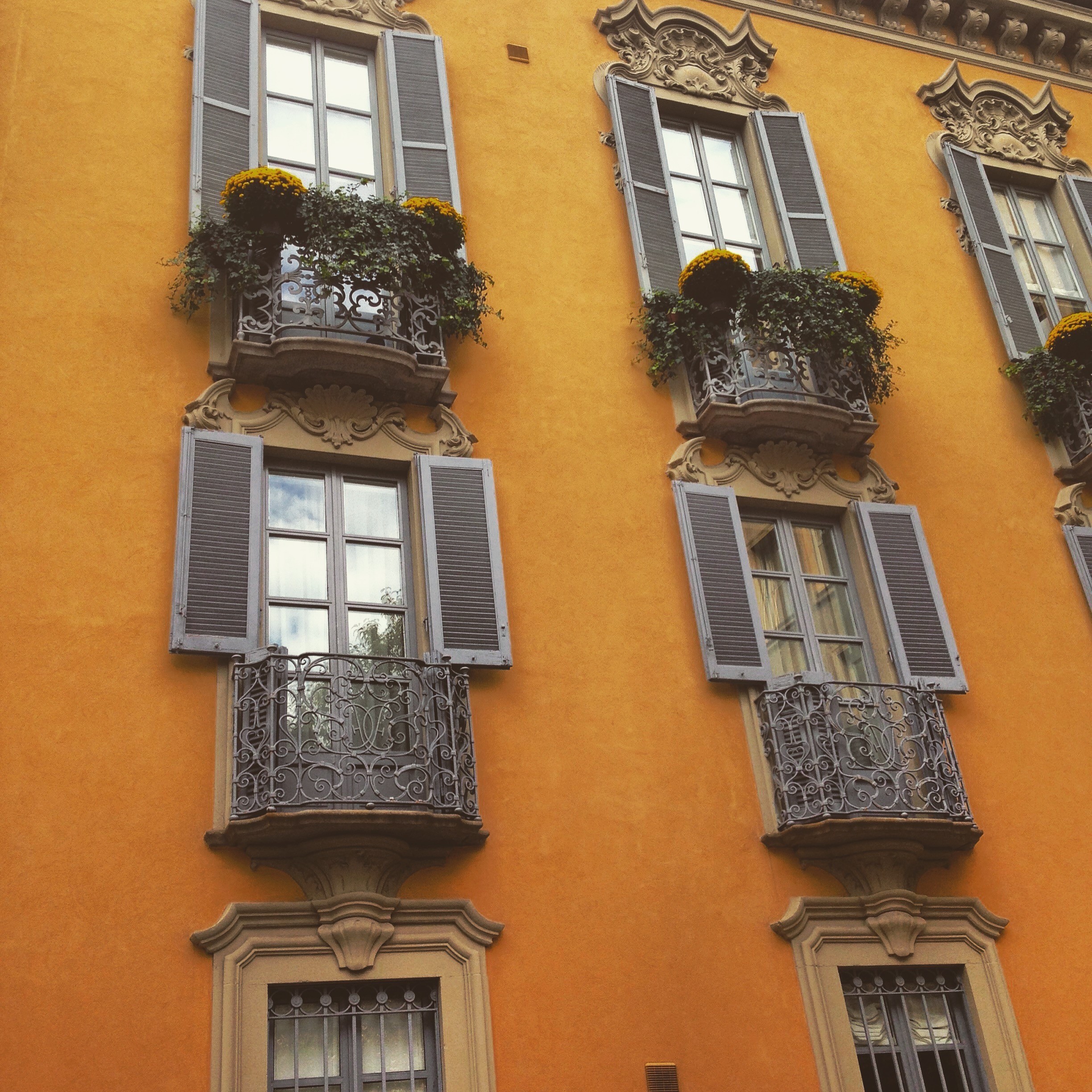 Molly Bland, Erasmus Exchange in Milan, Italy