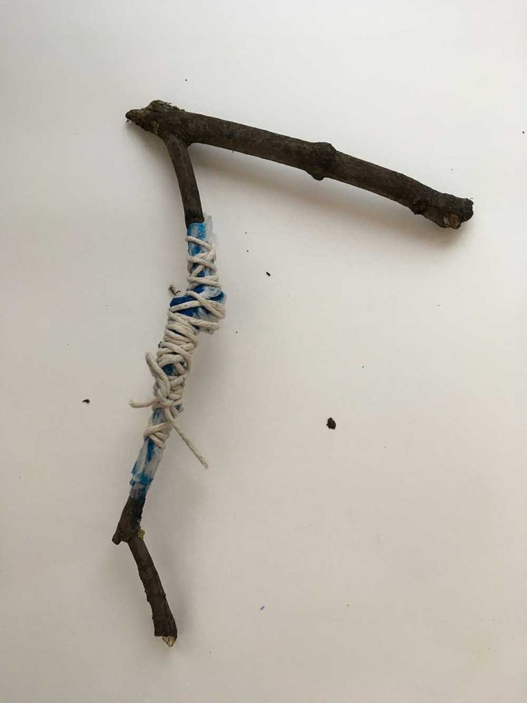 Source material generated in Morden Hall Park (details)