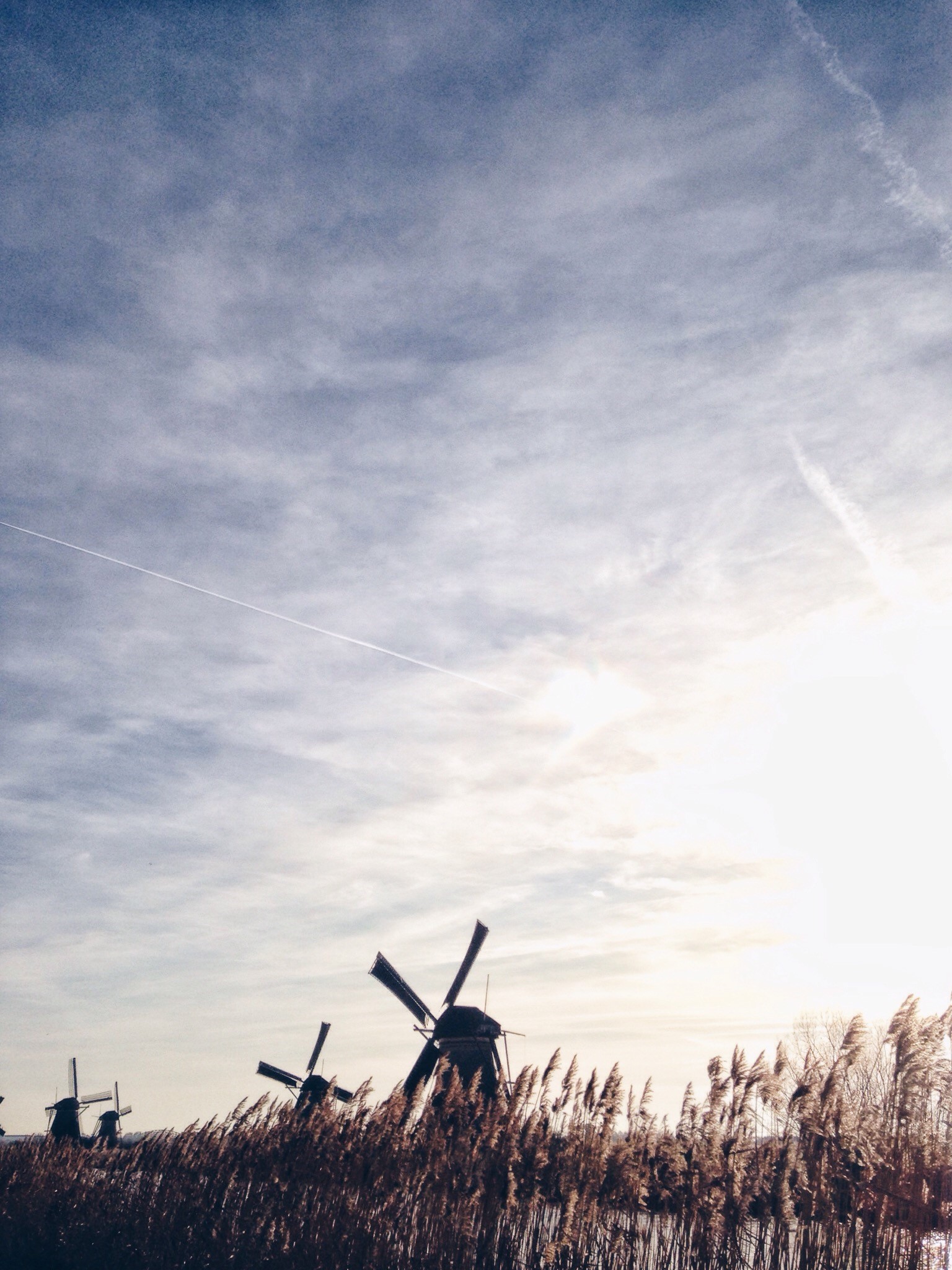 Windmills in The Netherlands, Anna Egorova