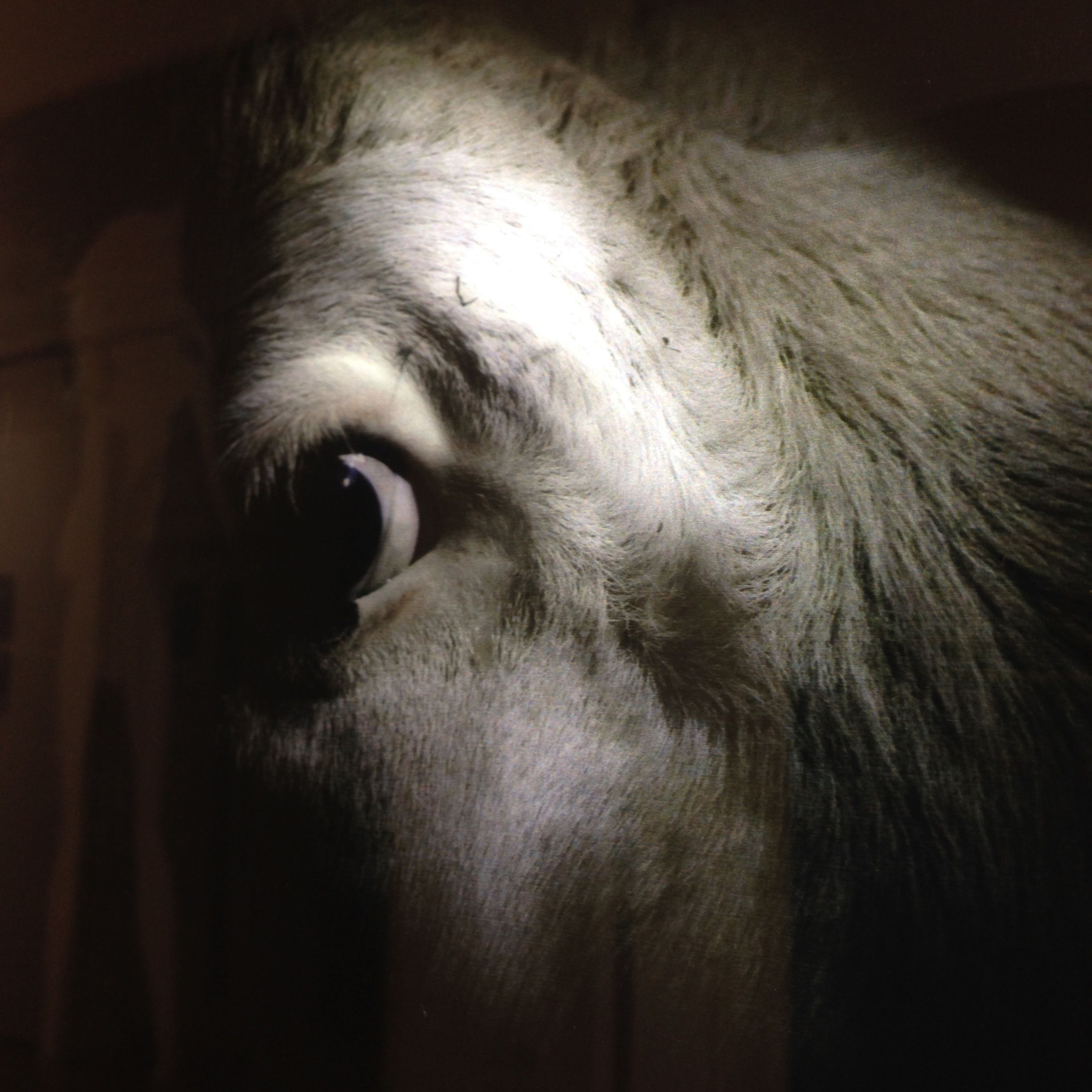 20160623_111812288_iOS