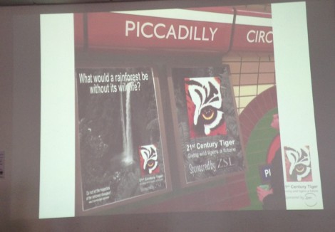 'Tiger Champions' campaign mock-ups presented.