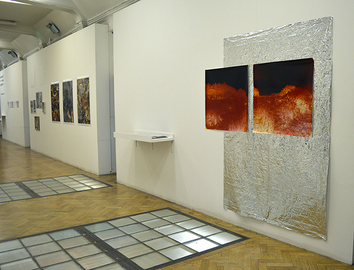 Martin Newth, 'Emerge (detail)' 2016, two colour C-type photographs, emergency blanket