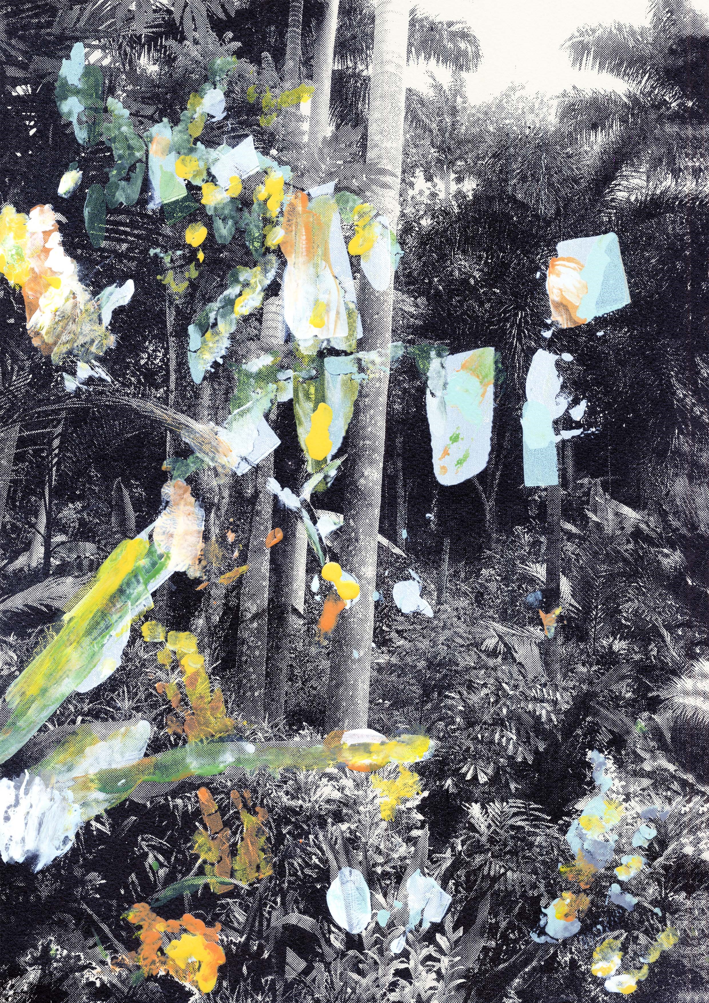 Screen Print 'Wilderness' 2016