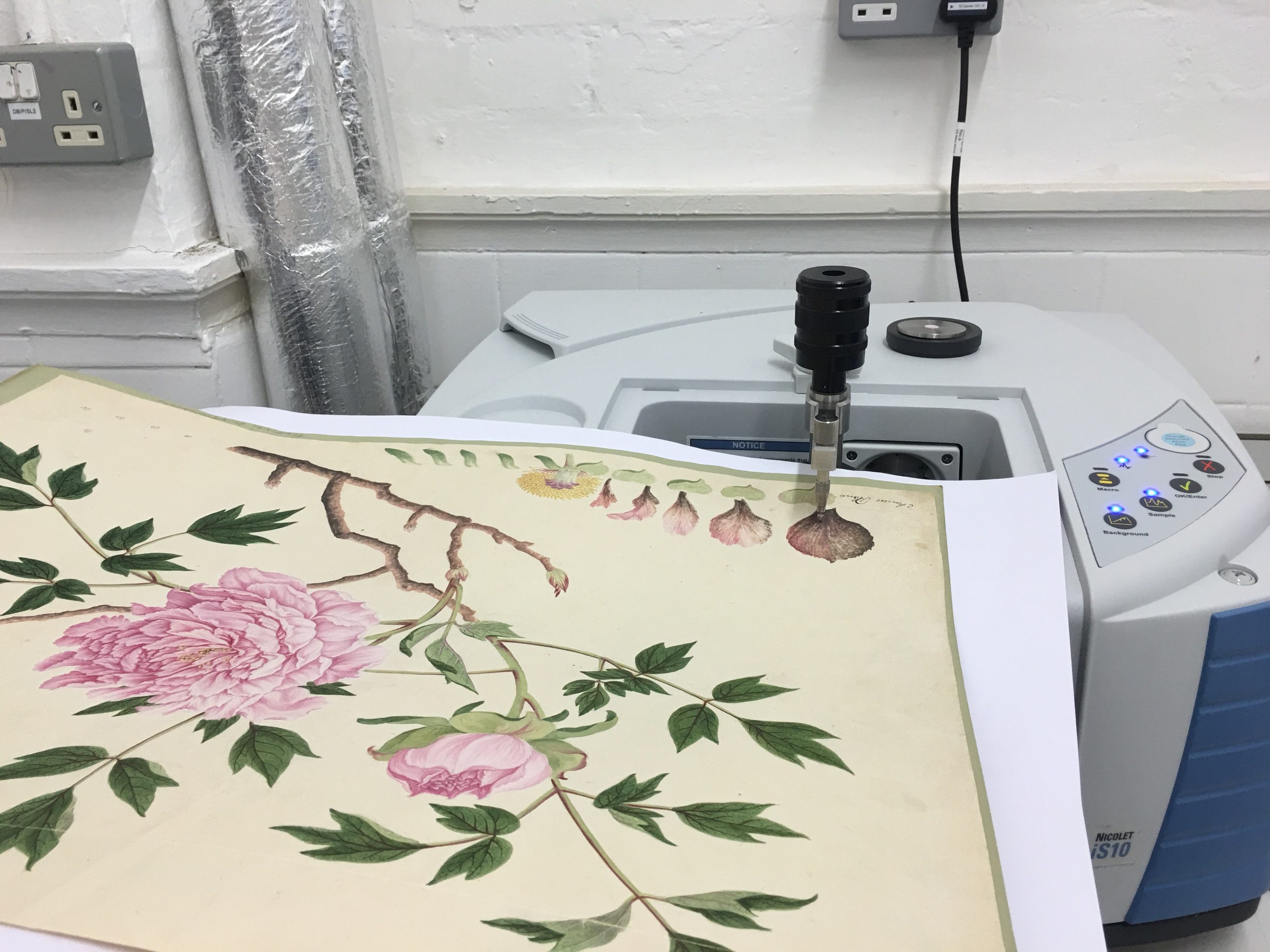 Botanical painting being FTIR tested