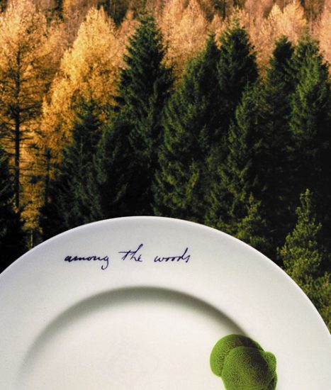 Gathered, Rob Kesseler