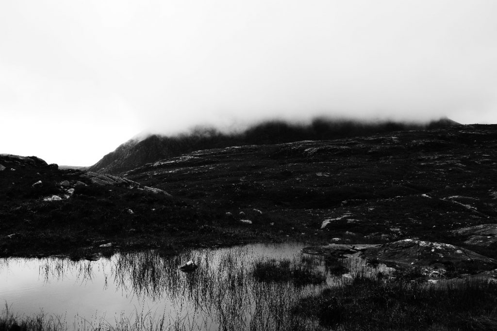 Work by Daisy Buckle