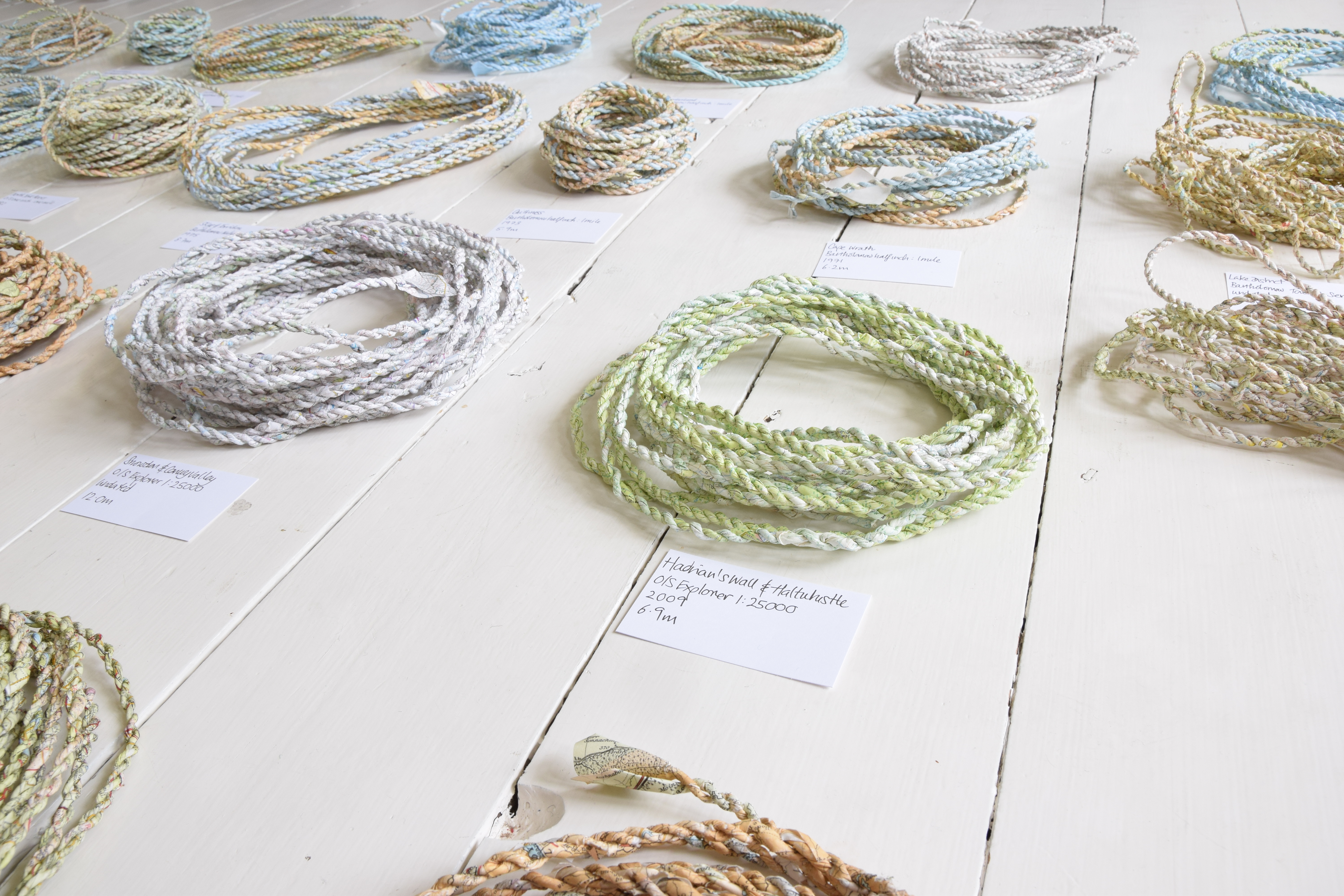 Detail of "A taxonomy of my place identity", by Angelique Talbot