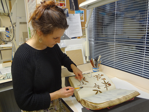 MA Conservation alumna Sarai Vardi at work