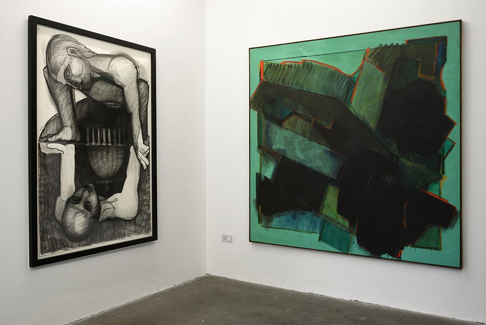 Installation view of Mario Dubsky: Xeno Factor at Chelsea Space