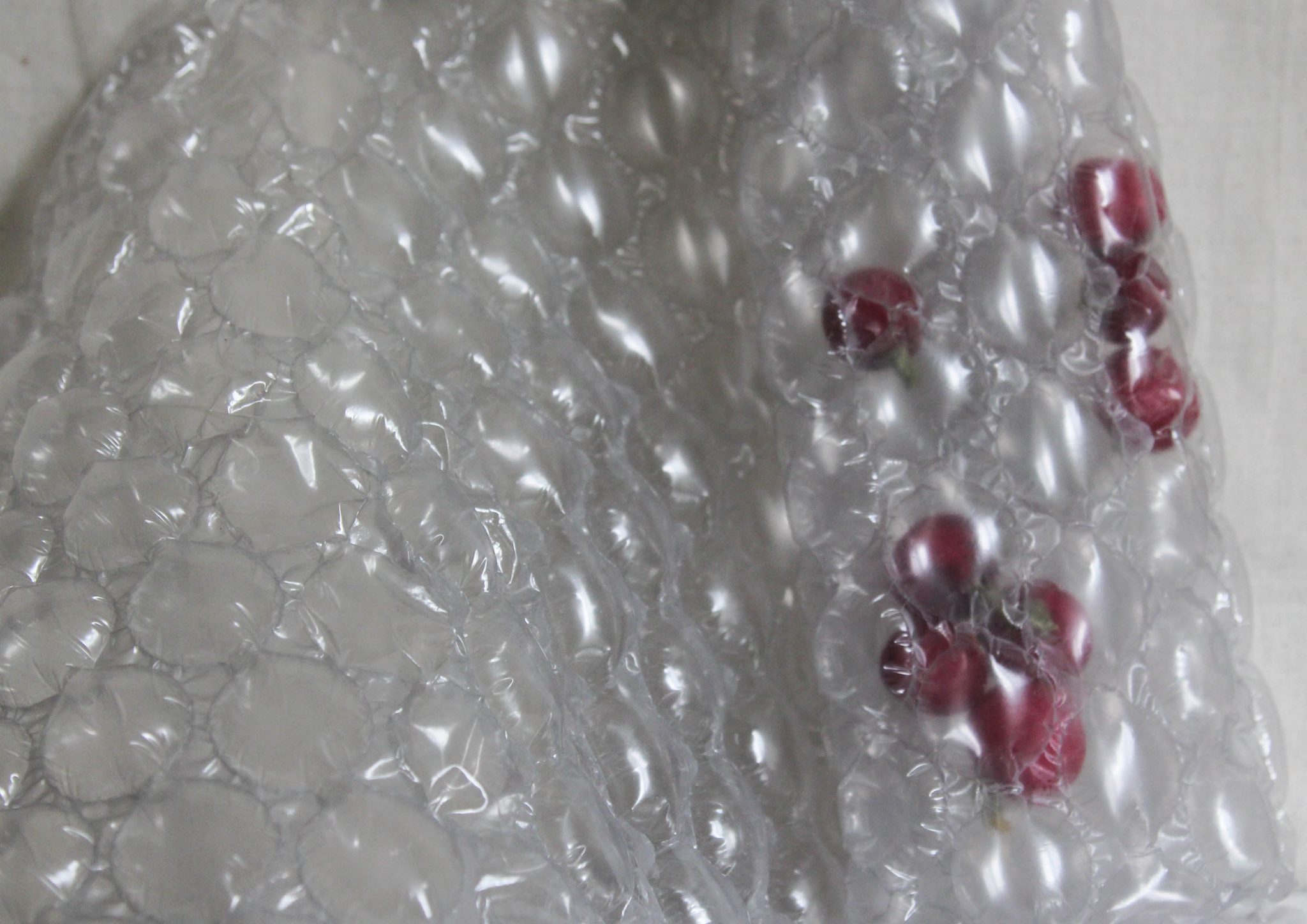 BA (Hons) Fashion Styling and Production graduate Jil Carrara