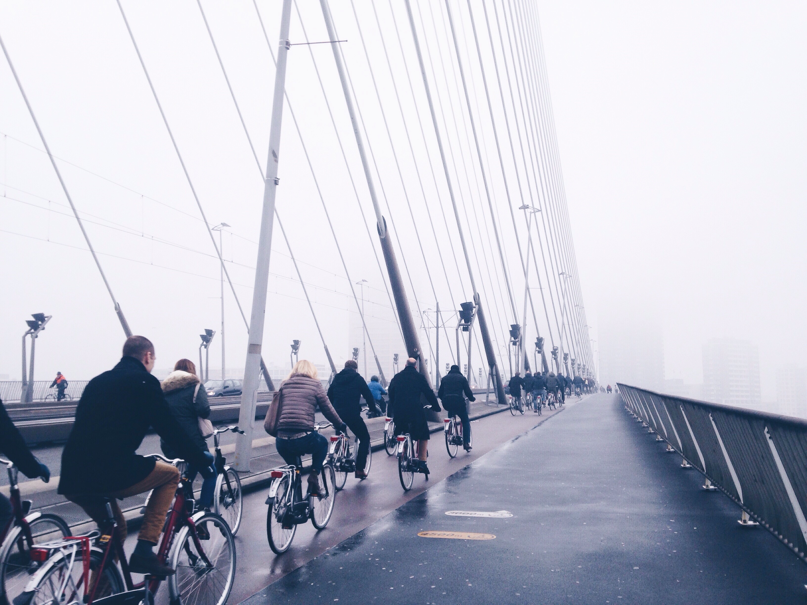 Anna Egorova, Rotterdam