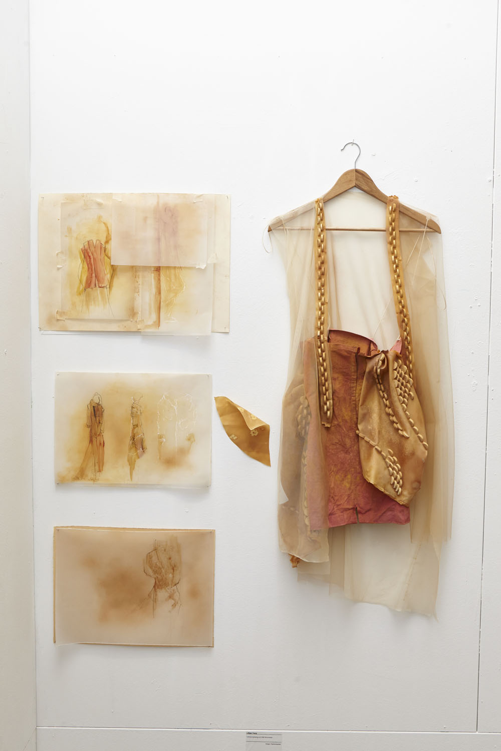 Fashion and Textiles: Lillian Yang