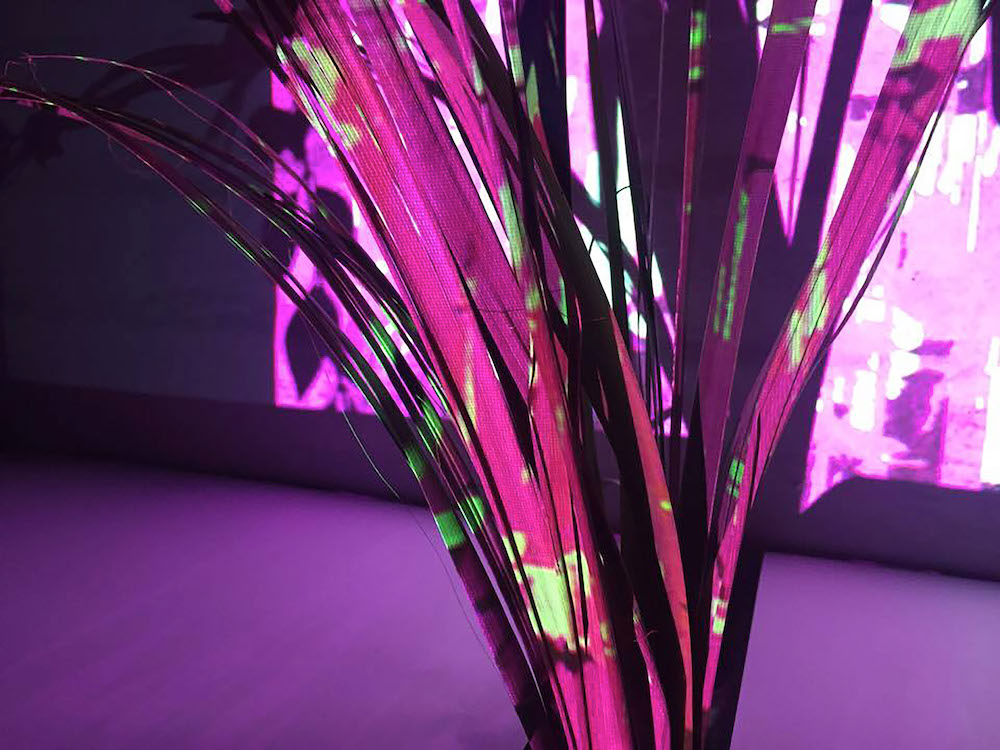 BA (Hons) Fashion and Textiles: Print graduate Jue Djalo for LCFBA17.