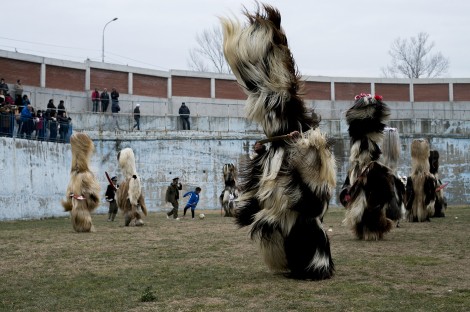 Bulgarian winter masquearade games.