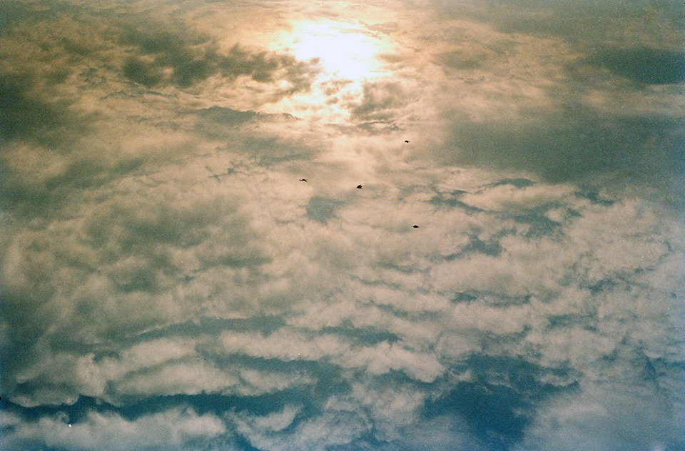 1458594_10153518432490261_1111019383_n