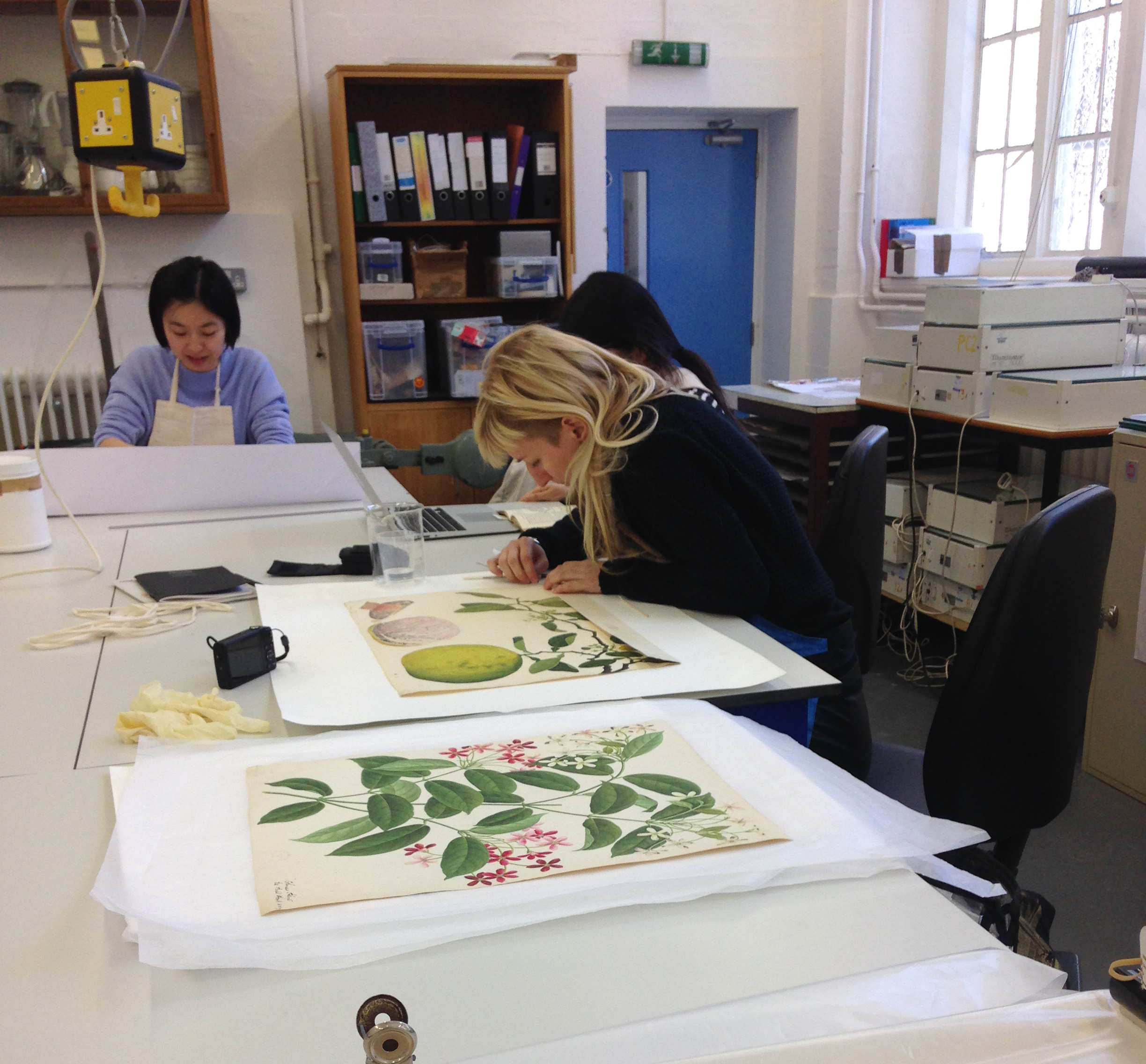 MA Conservation students working on pieces from The Royal Botanical Gardens, Kew 