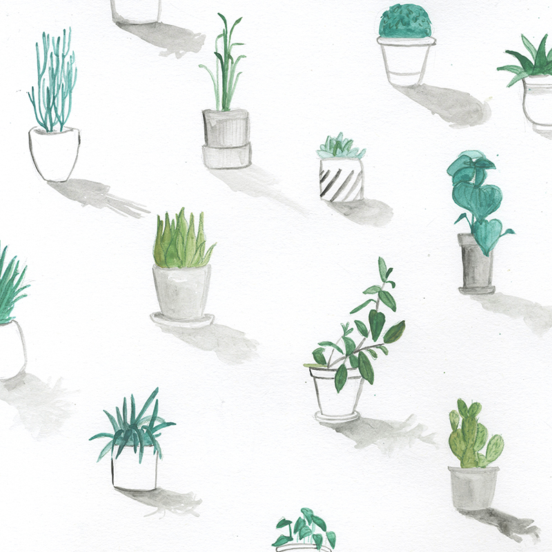Hannah Bottino Urban Greenery illustrations