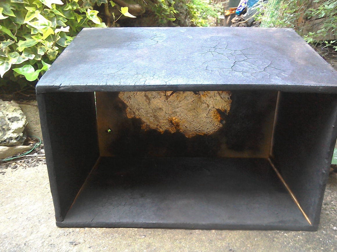 Shoebox by MFA Fine Art student Jenny Timmer