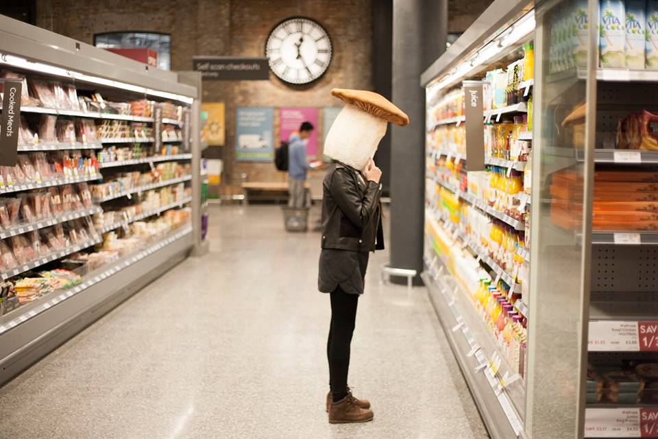 13006684_245256689157236_2555833859906439785_n