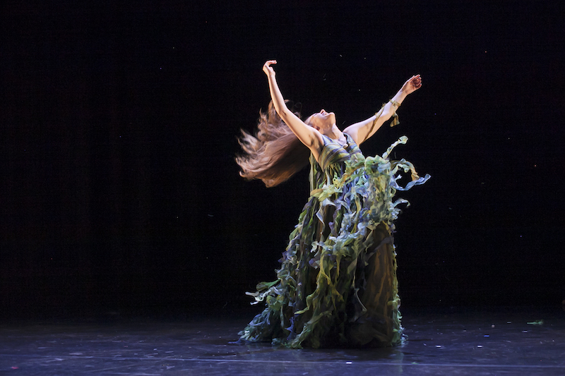 Sophie Meyer by Emmi Hyyppa.