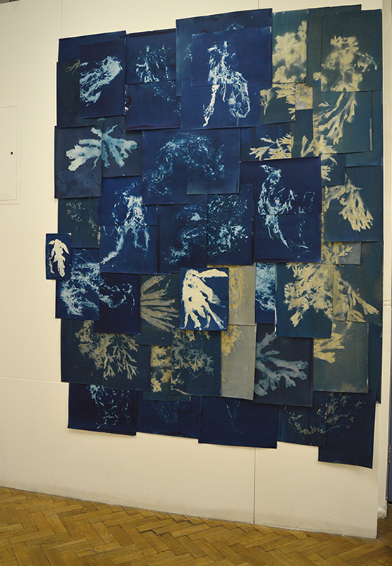 Esther Teichmann, 'Heavy the Sea' 2016, cyanotype collage 