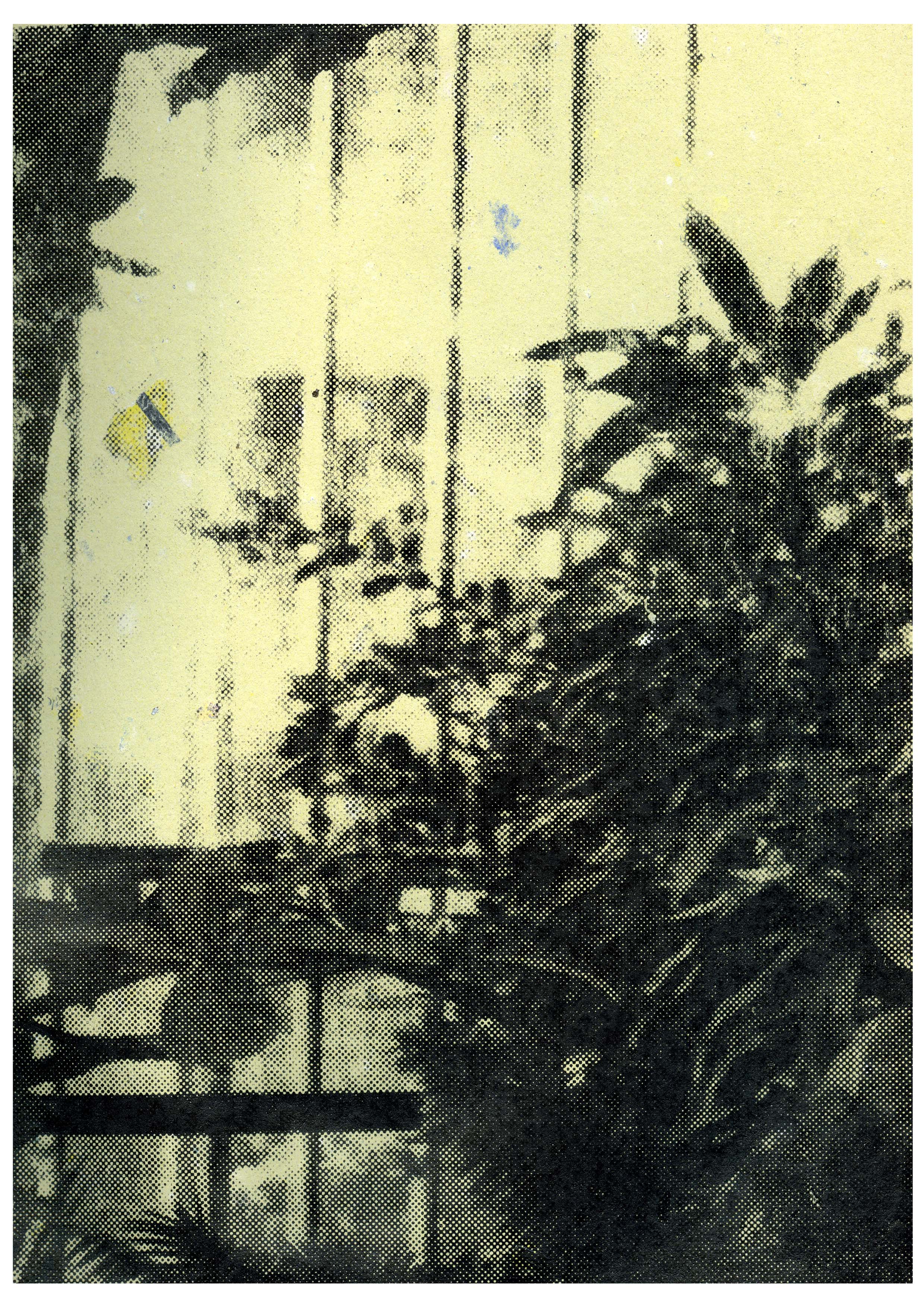 'Barbara' 2016 Screen print by Grizelda Kitchling