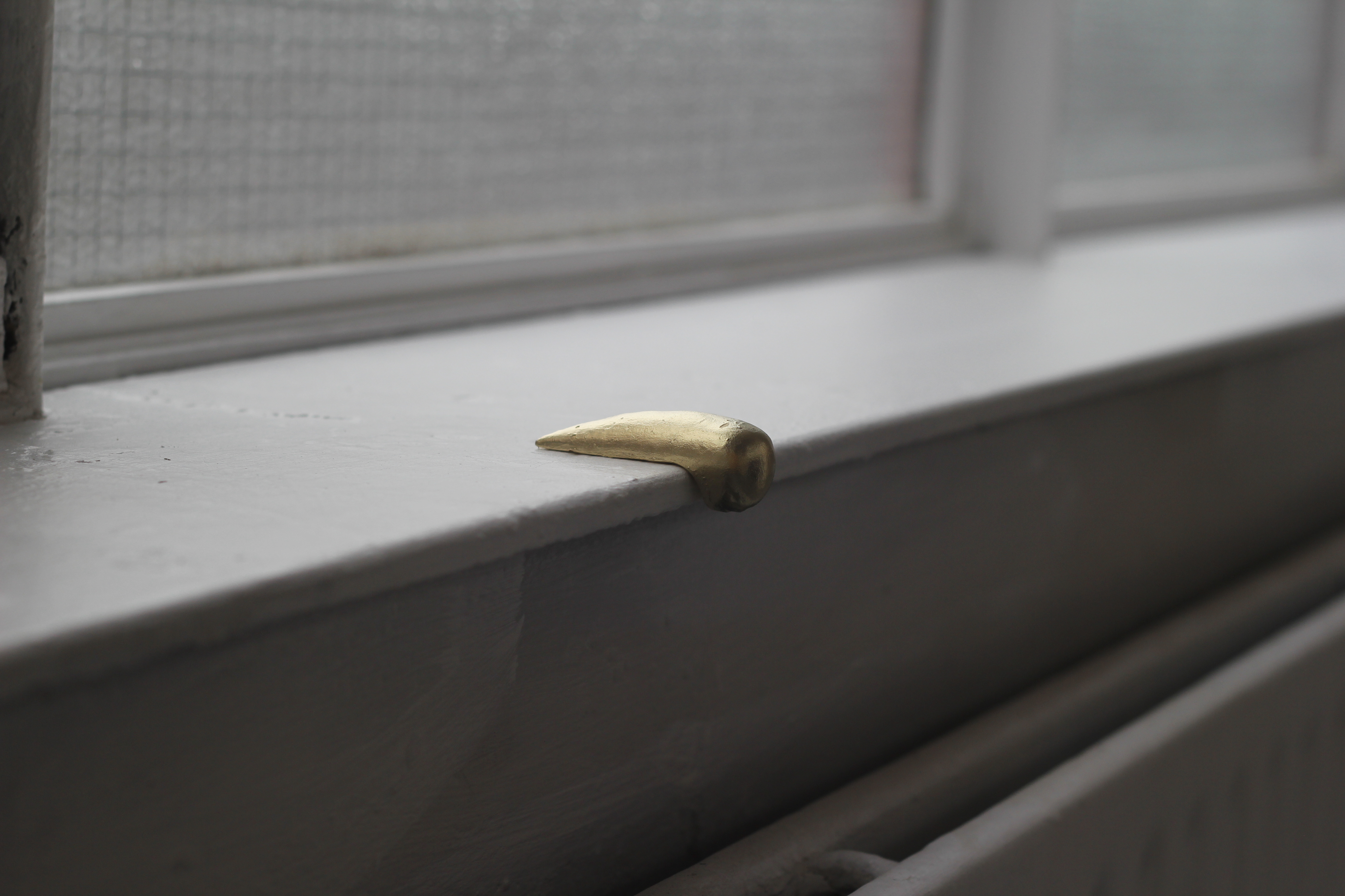 'Pig's Ear', sculpture by Josh Philpott