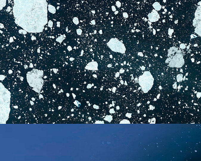 FRESHFACED + WILDEYED 2015