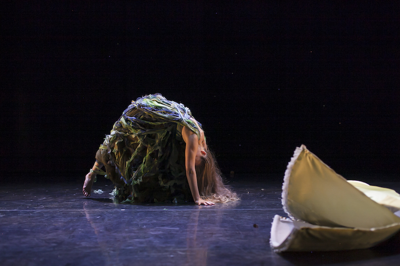 Sophie Meyer by Emmi Hyyppa.