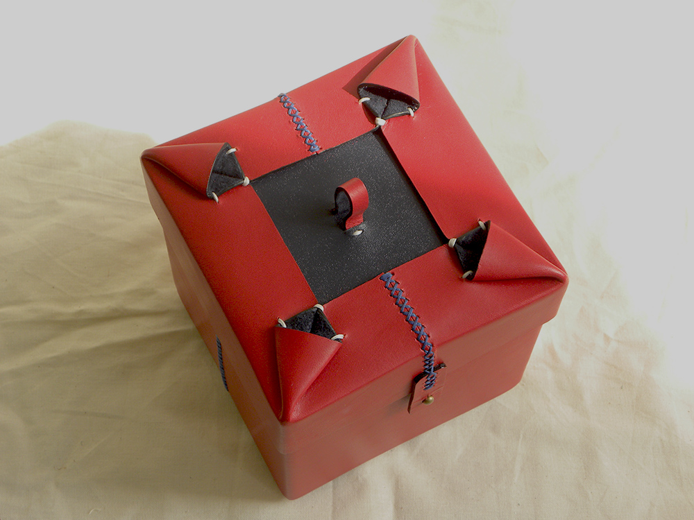 Carol Luu jewelry box.