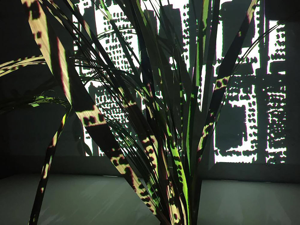 BA (Hons) Fashion and Textiles: Print graduate Jue Djalo for LCFBA17.