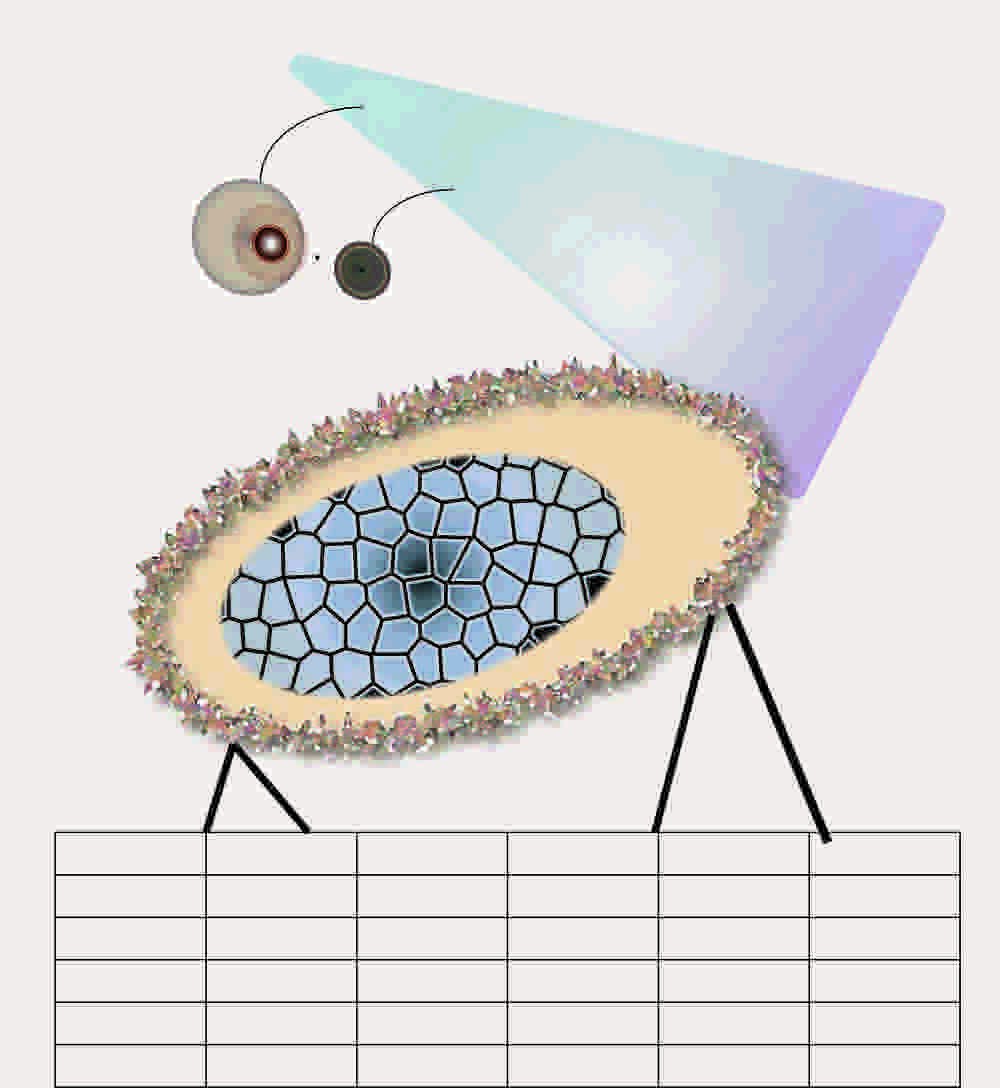 Abigail Butler, BA (Hons) Creative Direction for Fashion, FMP Illustration mock up.