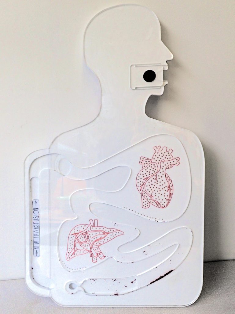 Image by Jonathan Morris and Grace Pappas