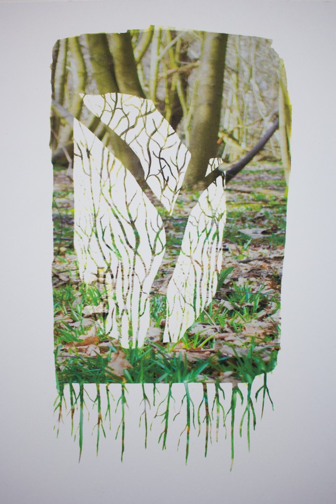 CCW Foundation student Sarah Louise Drew