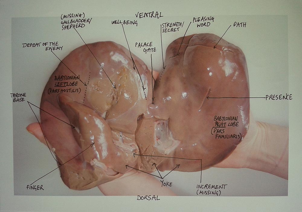 Map of the Front of the Pouch, the visceral side of the liver, courtesy Amanda Couch.