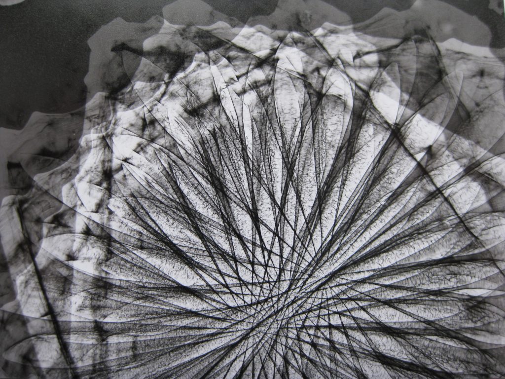 X-Ray Film Series Research Inspiration Photogram, Rita Parniczky