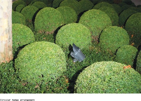 Circular hedge arrangement