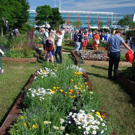 Susie Wareham, MA Fashion Futures at RHS BBC Gardener's World Live