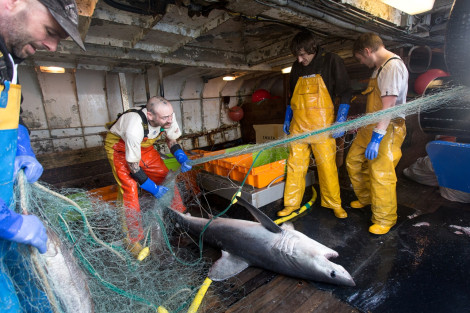 TOM_NICHOLSON_003_small