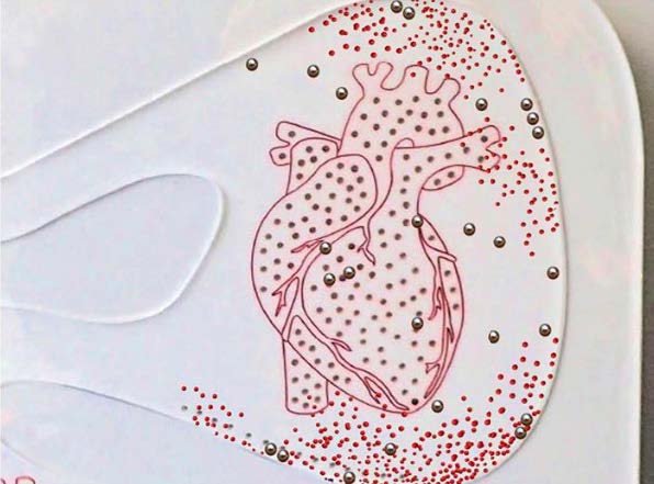 Image by Jonathan Morris and Grace Pappas