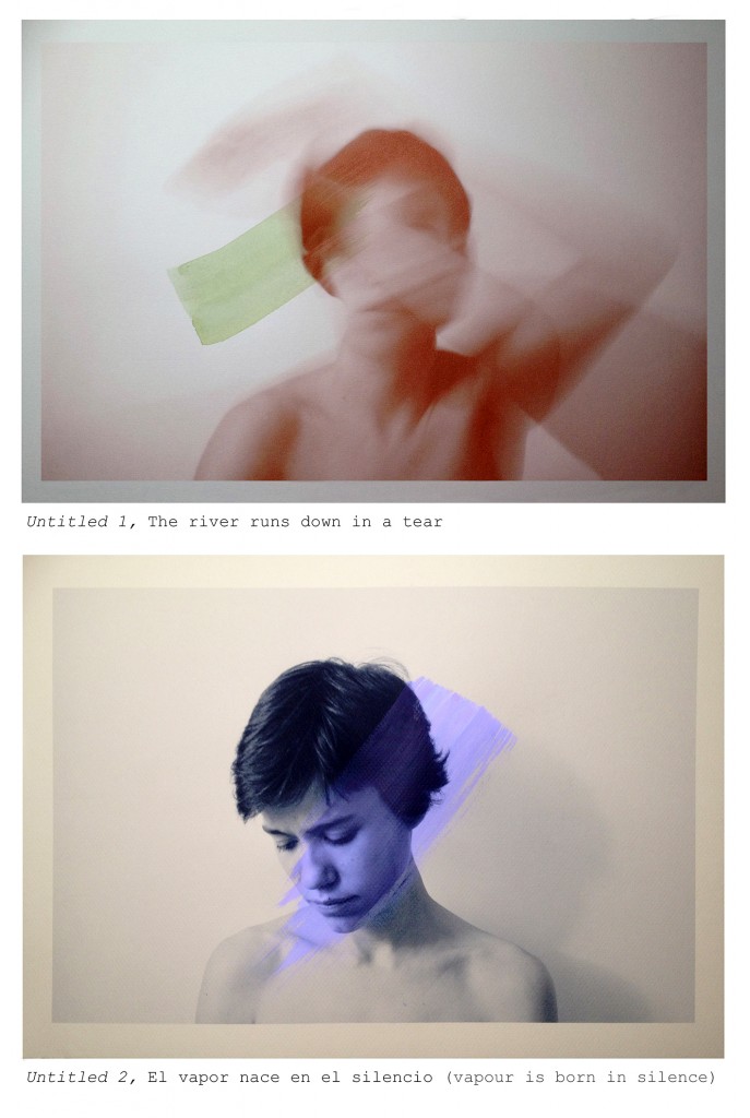 Clara Duran - Diptych