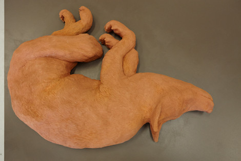 Work from the Undergraduate Summer Show, Rosie Connolly, 2014