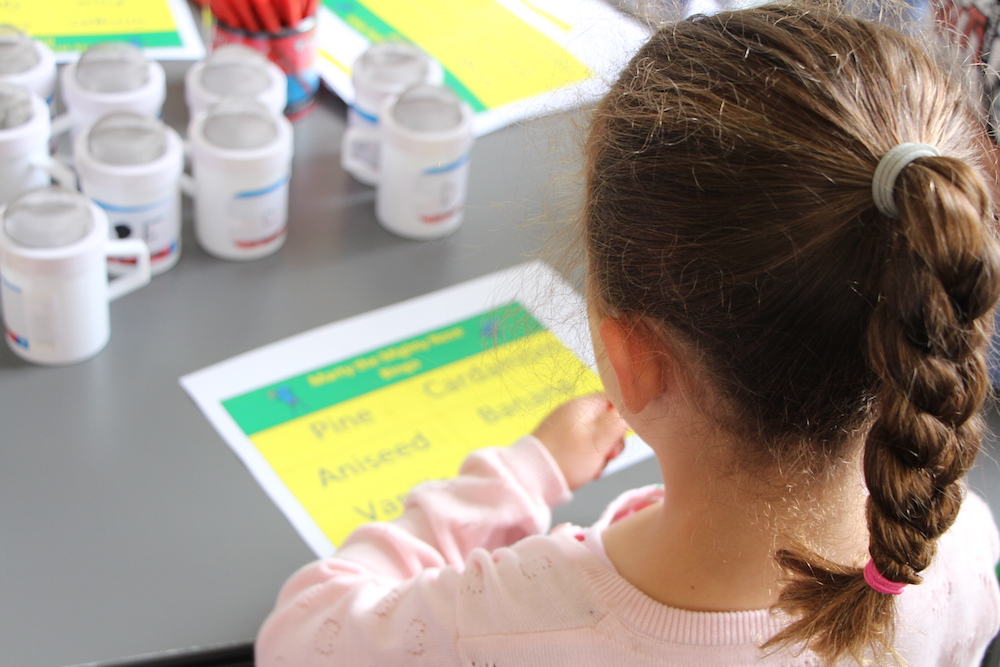 Marty the Might Nose workshop, which was created by The Fragrance Foundation for Somerset House.