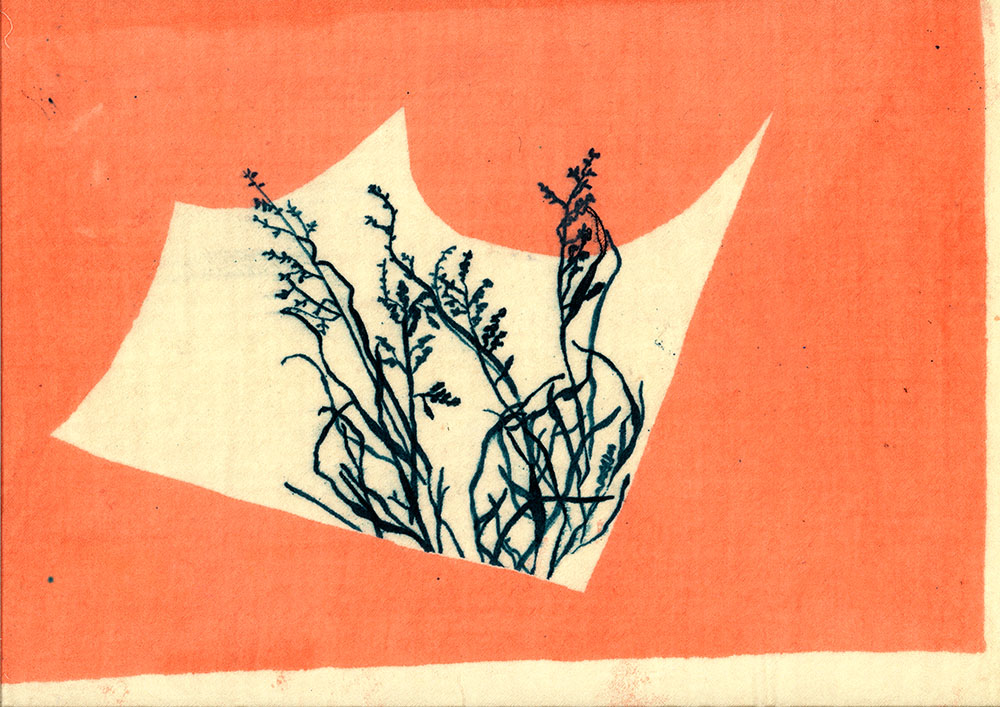 Sample weeds print by Erica Weide