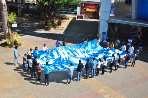 The finished cyanotype © Melanie King and JJ Hastings