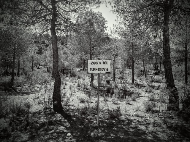 IMG_20160902_1427002WEB