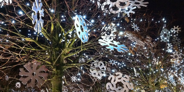 Decorated trees at Granary Square © S Reed 2013