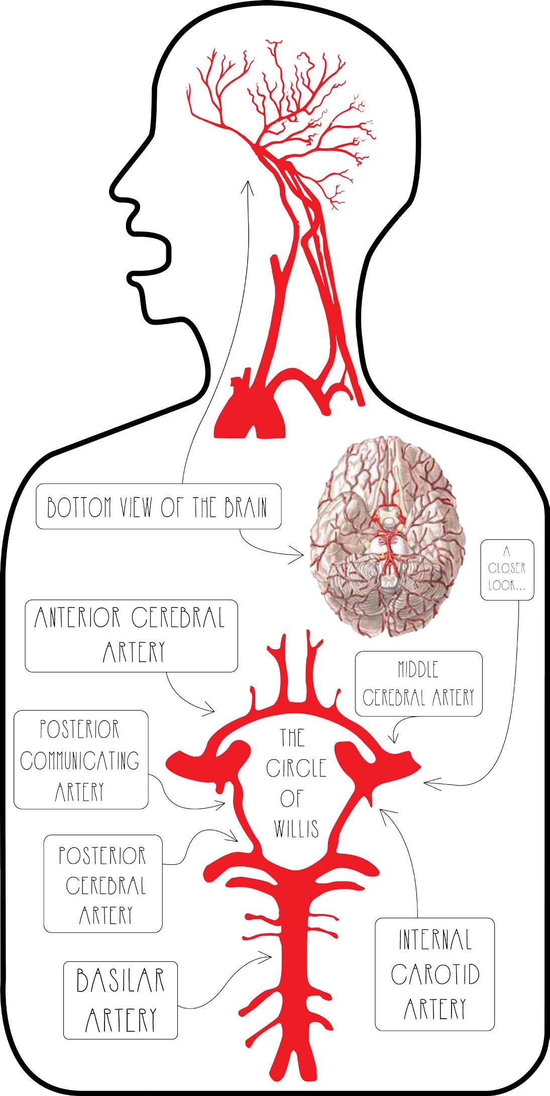 Image by Jonathan Morris and Grace Pappas