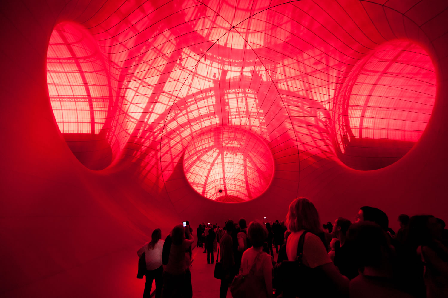 Artist influence -anish kapoor's 'leviathan'