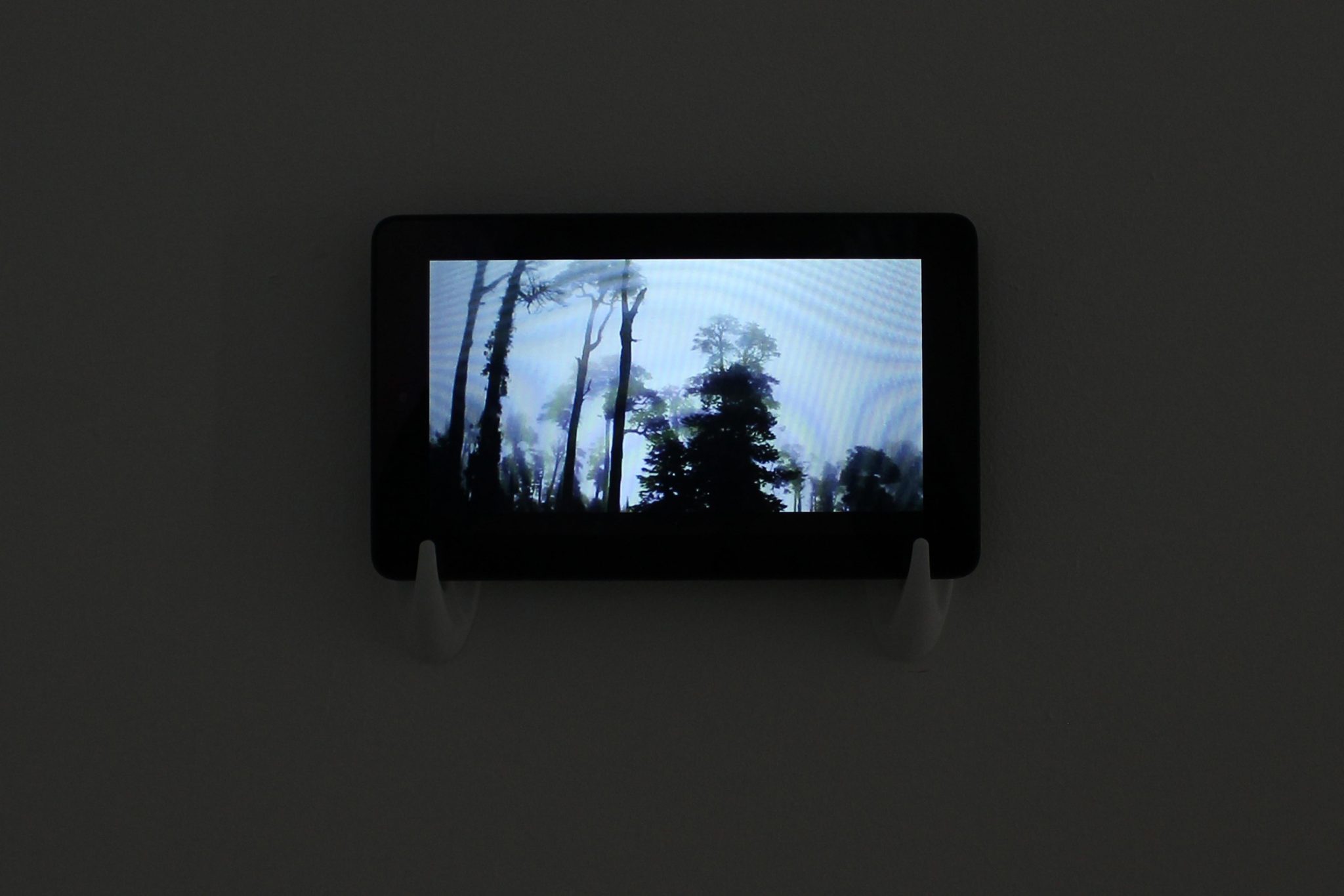 Installation view, image courtesy of the artist Gabriel Molina
